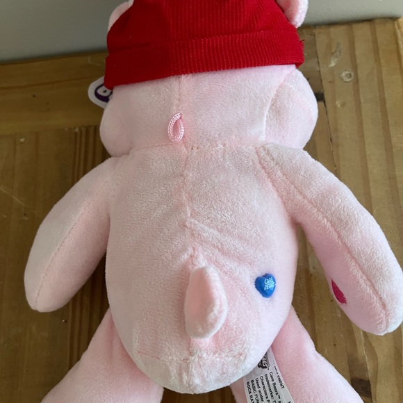 Care Bear Canadian Plush with tags - Picture 2 of 2